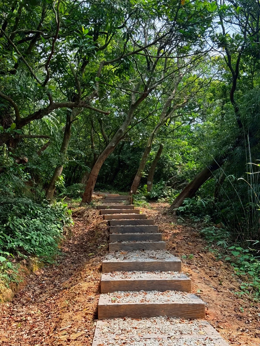 圖片來源:澄傳媒