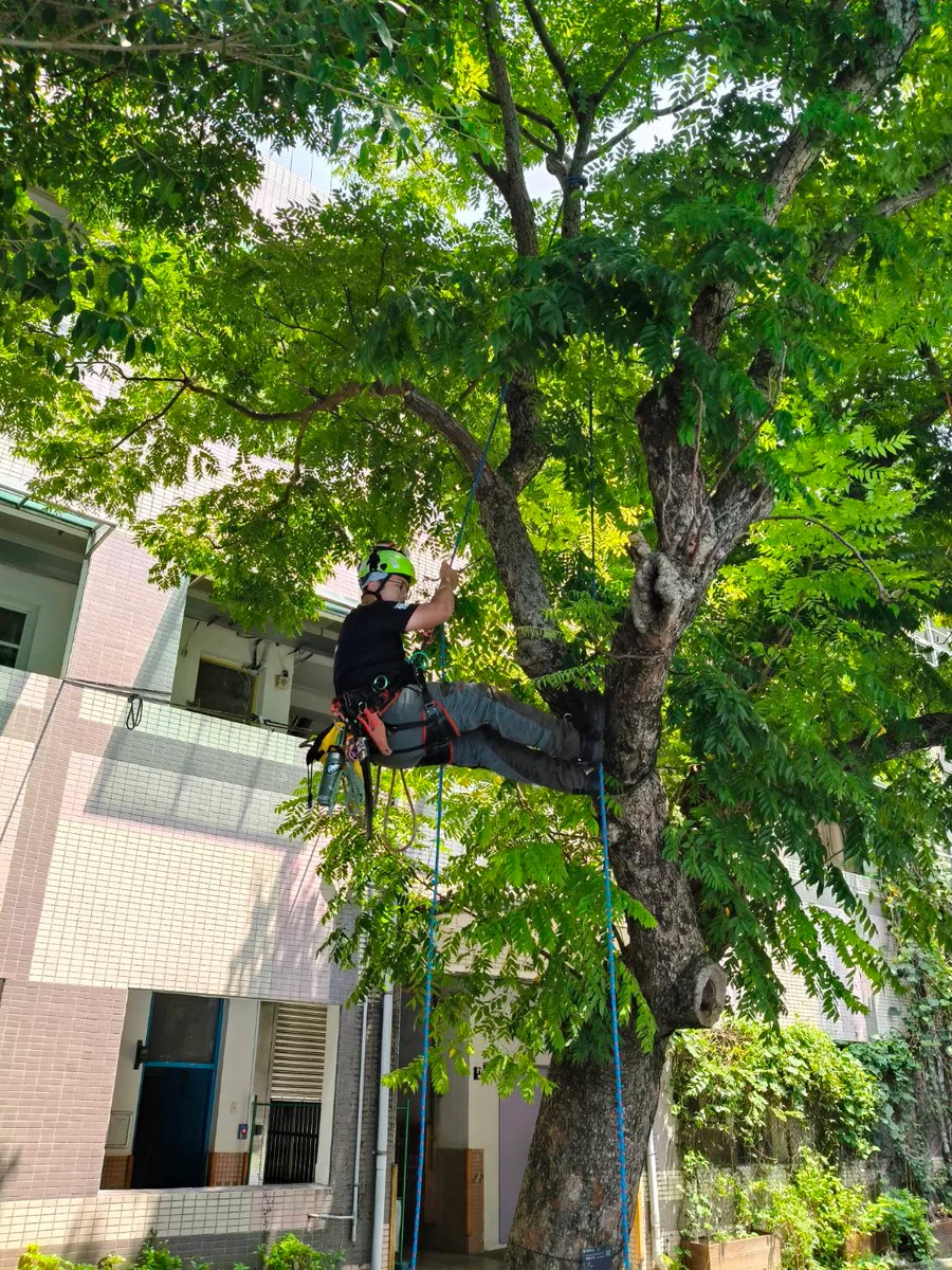 圖片來源:澄傳媒