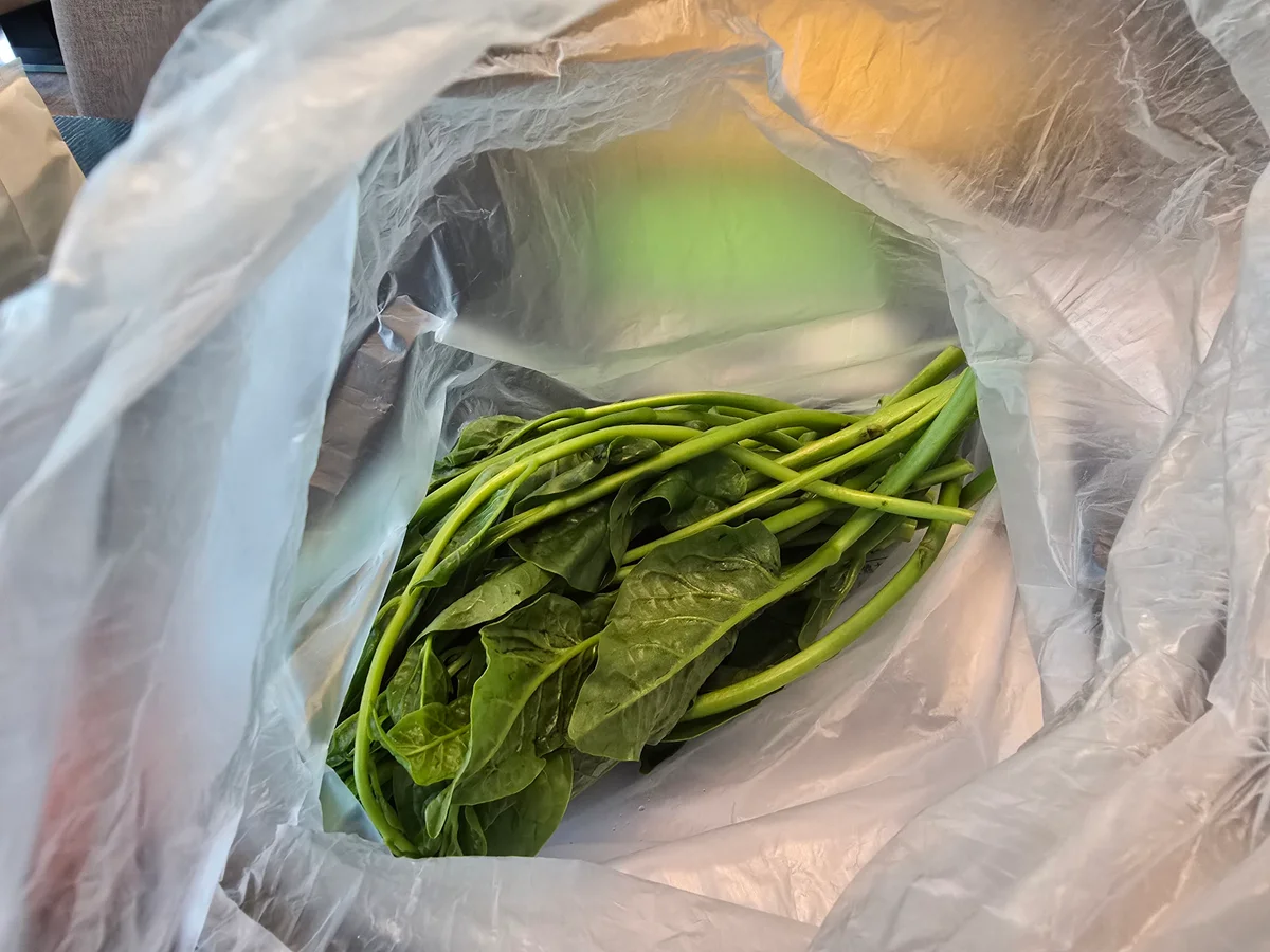 圖片來源：澄傳媒