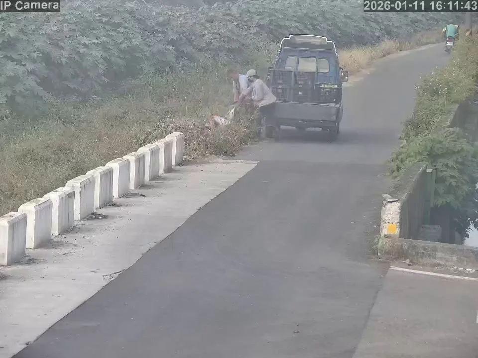 圖片來源:澄傳媒