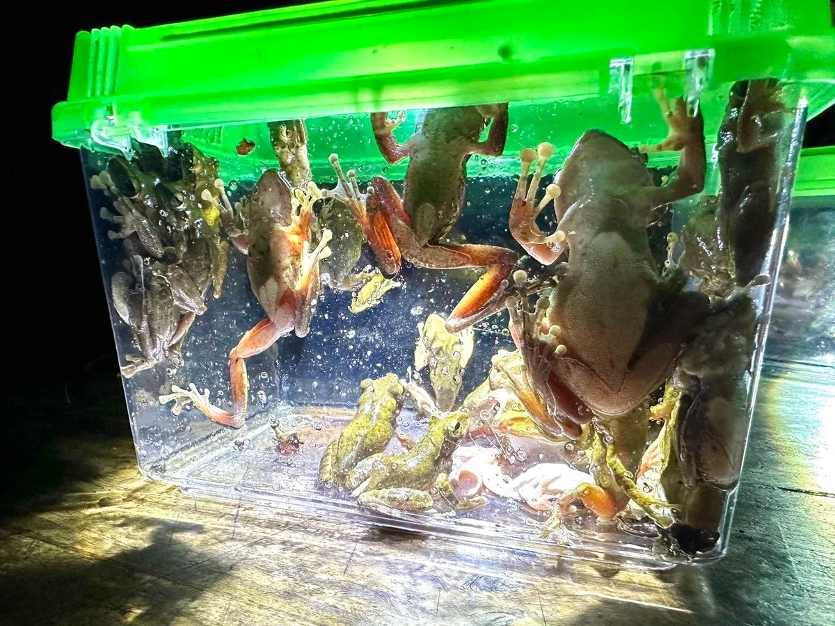 圖片來源:澄傳媒