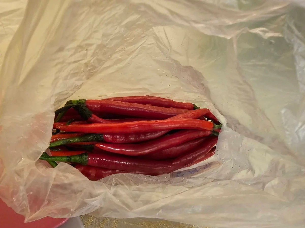 圖片來源：澄傳媒