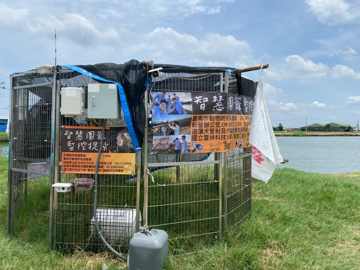 下營營前里傳犬群遊蕩　動保處設籠加強巡查捕捉