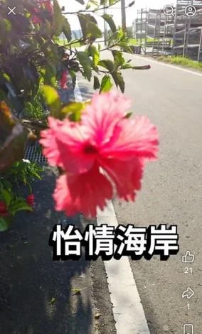 圖片來源：在地新聞