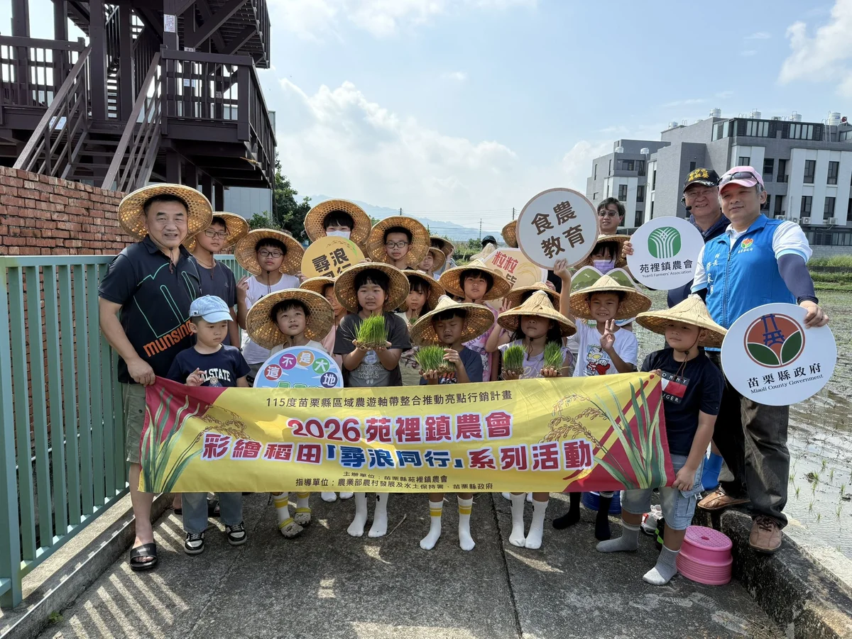 苑裡田間插下二期稻苗 彩繪稻田9月19日亮相找媽祖