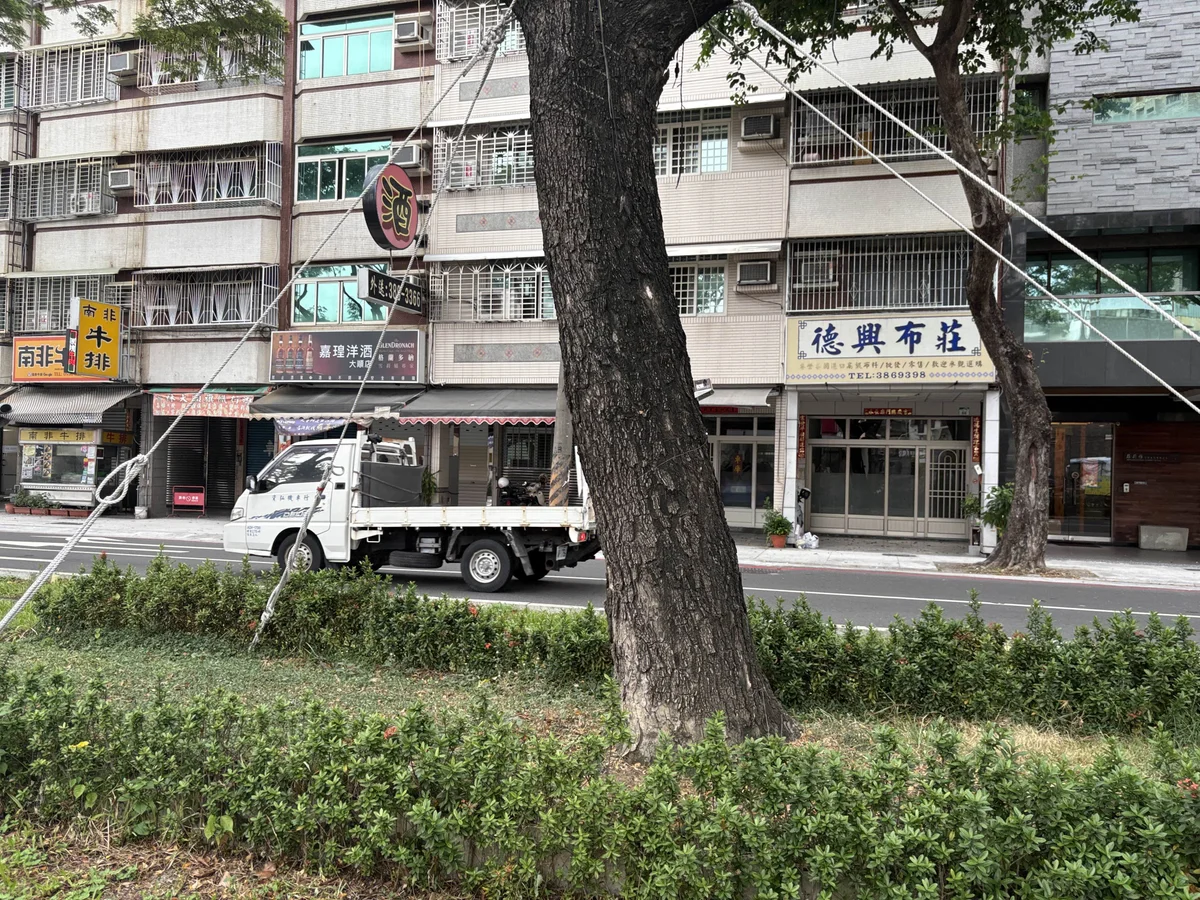 高雄主要幹道設380處監測點 行道樹傾斜即時掌握