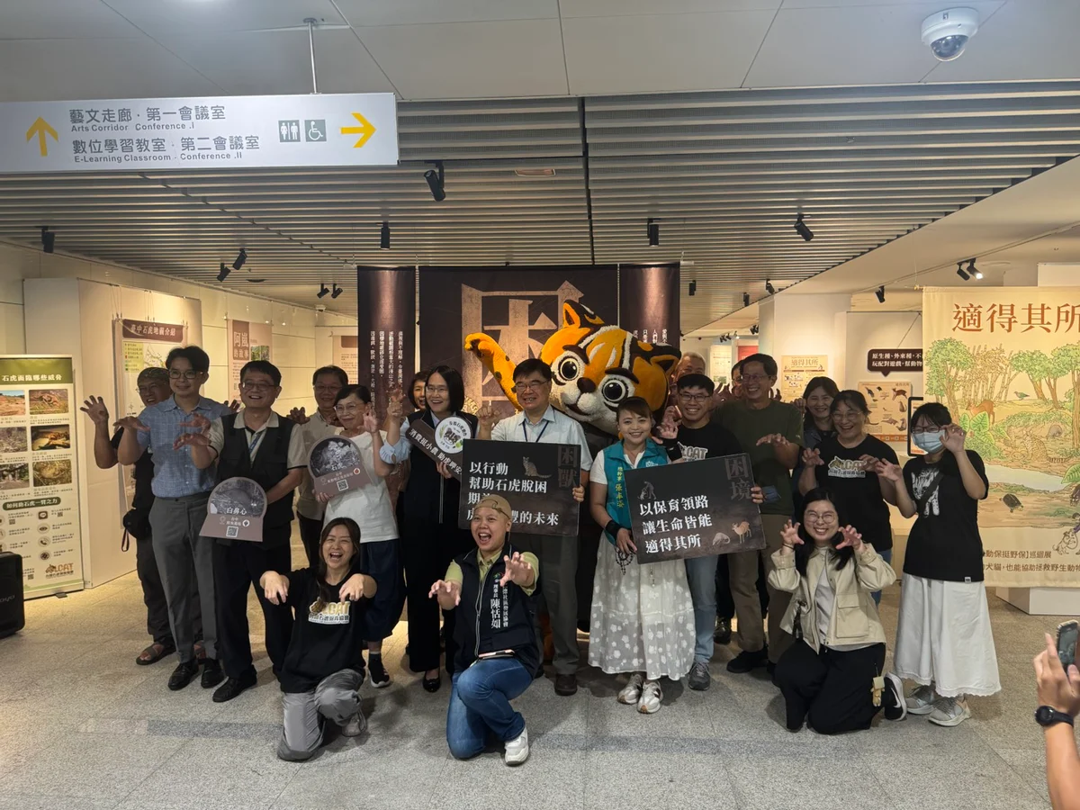 石虎與遊蕩犬貓如何共存 台中國資圖雙聯展談保育困境