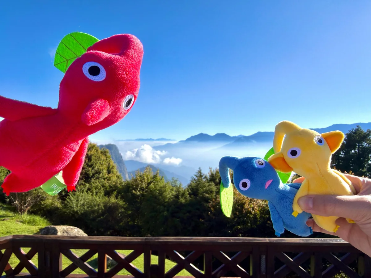 秋天沿台18線上山 鄒遊季集章走進阿里山部落