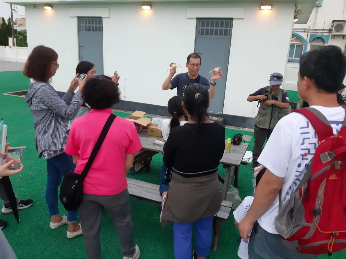 高美濕地夜裡巡守陸蟹 8月15日再帶民眾認識繁殖路