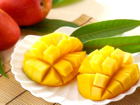 每年夏至進入盛產期　臺南國際芒果節主打臺南愛文芒果