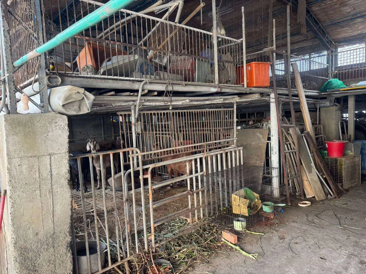 圖片來源：澄傳媒