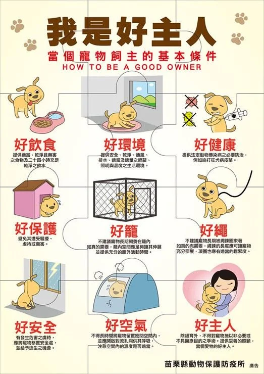 不打不代表沒虐待 苗栗動防所提醒飼主照護責任