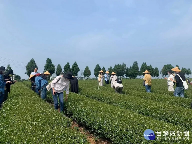 圖片來源:在地新聞