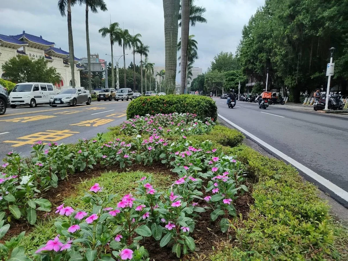 圖片來源：澄傳媒