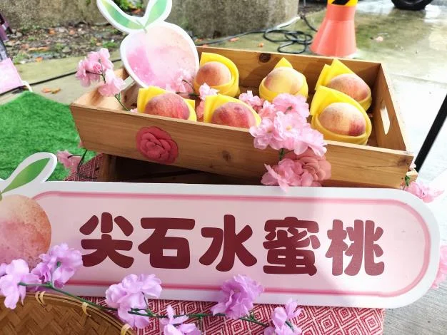 圖片來源：在地新聞