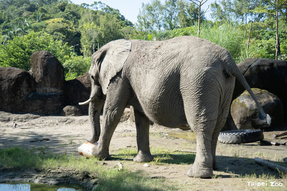圖片來源:澄傳媒