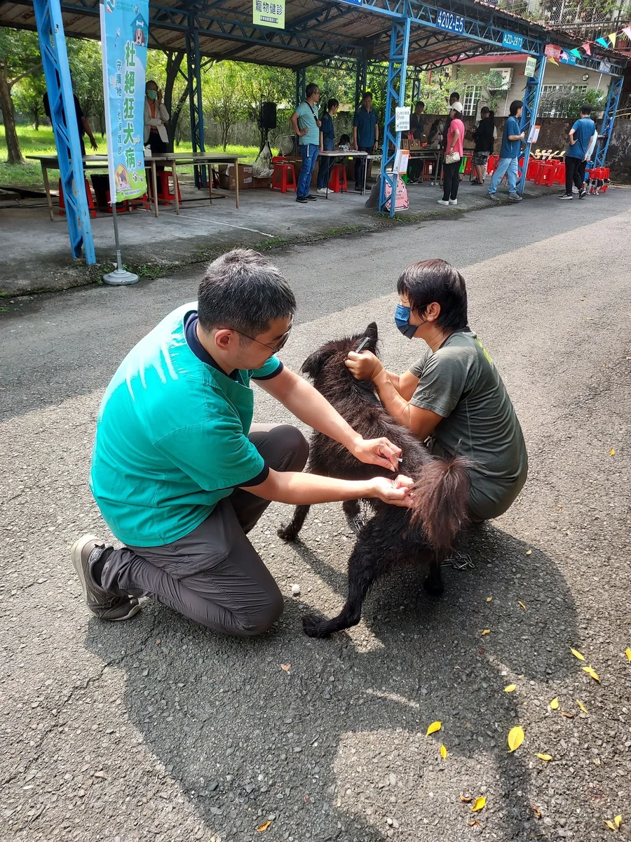 帶毛孩補上年度疫苗 屏東9月19日辦狂犬病防疫活動