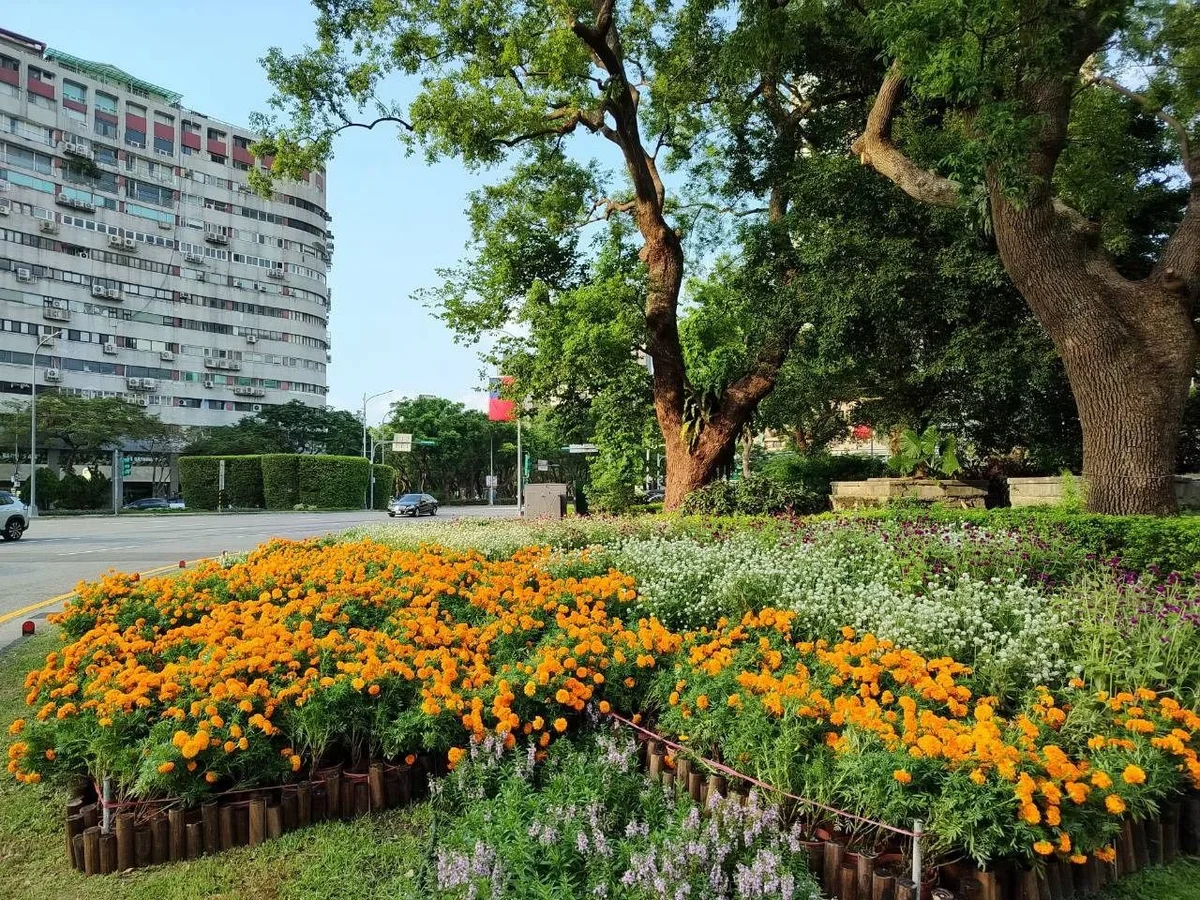 圖片來源：澄傳媒