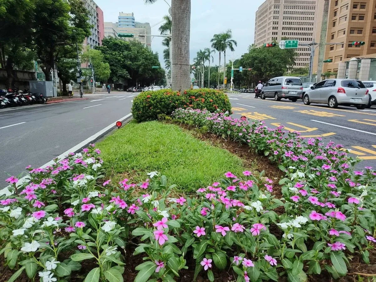 圖片來源：澄傳媒