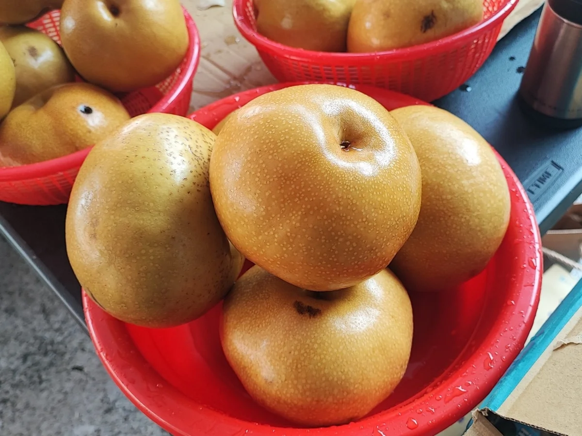 圖片來源:澄傳媒