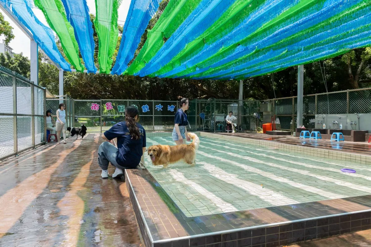 南寮園區擬設狗狗戲水池 高齡犬復健需求也納入規劃