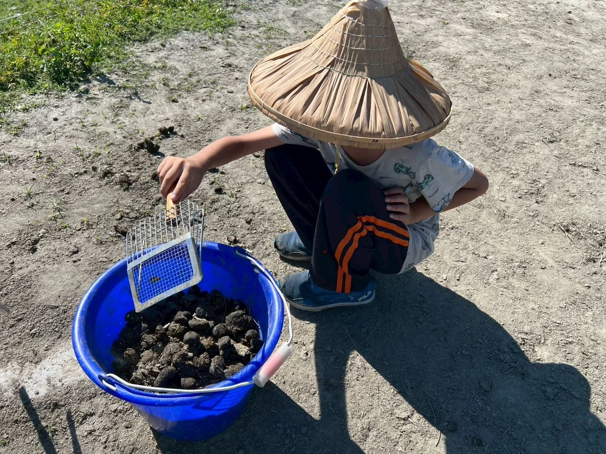圖片來源:在地新聞