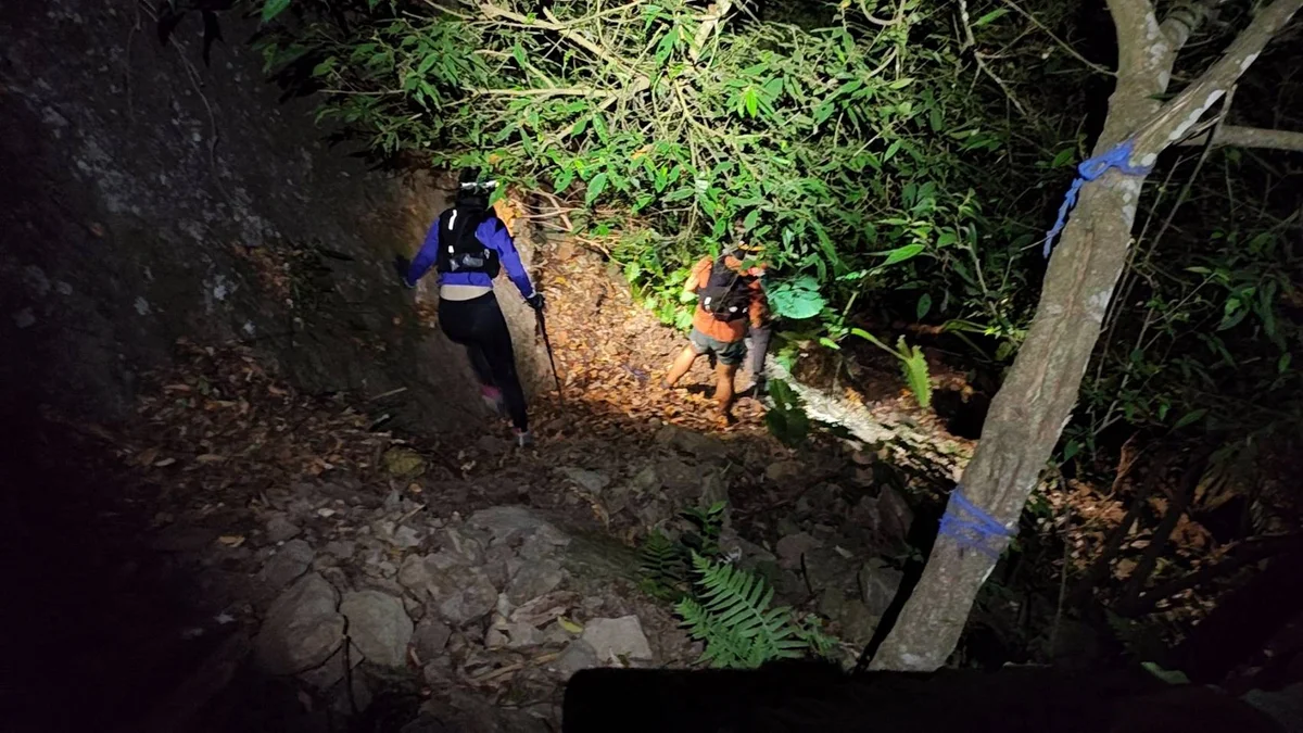 兩登山客洗水山迷途 泰安消防夜間入林帶回登山口