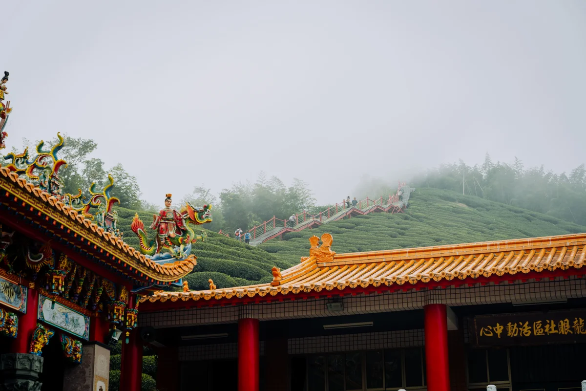 沿茶園稜線走十分鐘 梅山二尖山收進群山雲霧